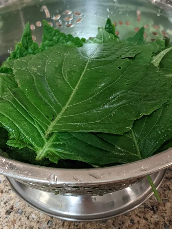 Wang Perilla Leaves (Kkaennip) Pickled